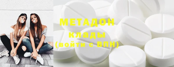 шишки Гатчина