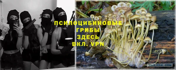 альфа пвп Осташков