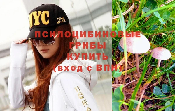 гашишное масло Осинники