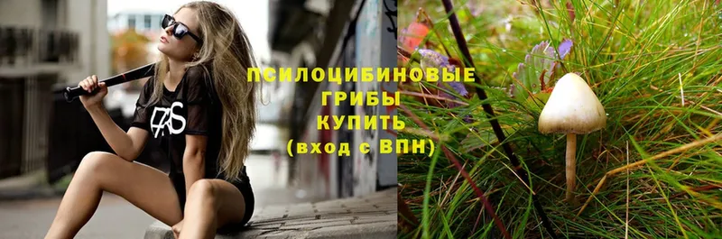 Псилоцибиновые грибы мухоморы  цены   Луза 