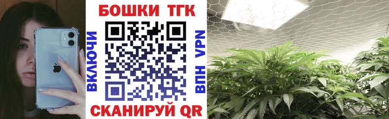 Шишки марихуана план  наркотики  Луза 
